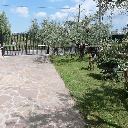 B&B Villino Lory Marino Zewnętrze zdjęcie