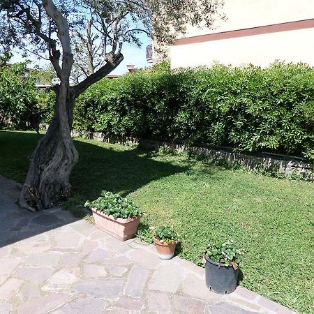 B&B Villino Lory Marino Zewnętrze zdjęcie