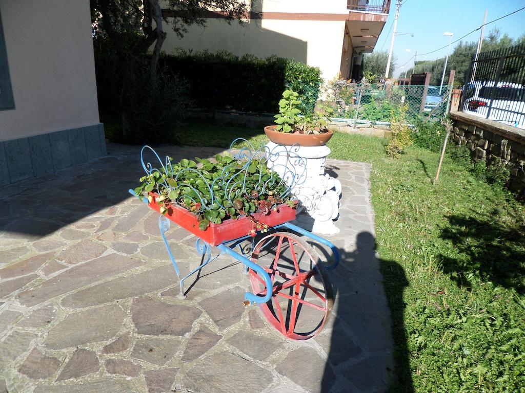 B&B Villino Lory Marino Zewnętrze zdjęcie